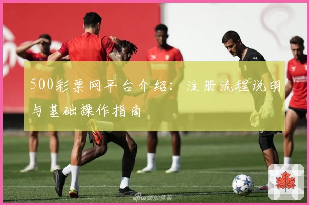 500彩票网平台介绍：注册流程说明与基础操作指南